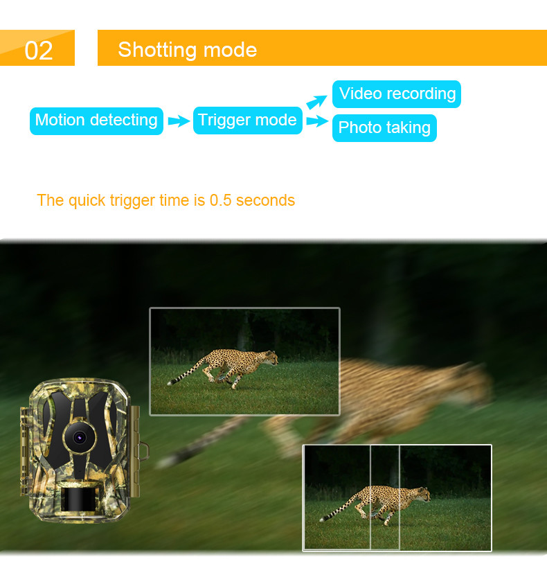 HD 1080p 20mp Trail Camera Video Recorder Waterproof With 1.5 Inch LCD Motion Activate