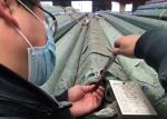 Round Seamless Stainless Tube / Pickle Annealed Tube EN10216 5 1.4301 1.4307 1