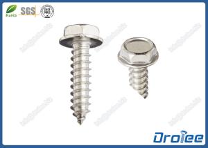 Quality Stainless Steel 316 Sheet Metal Screw Hex Washer Head ST6.3 x 35mm wholesale