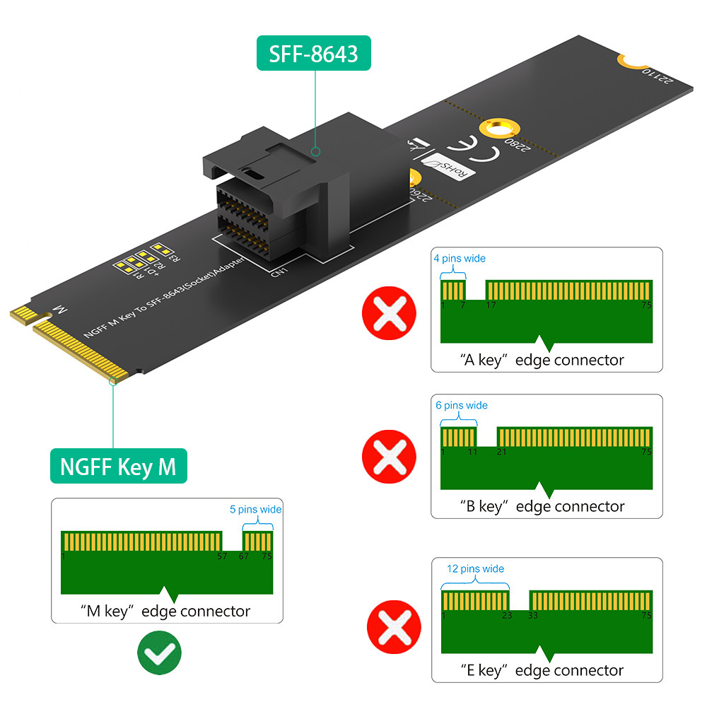 NVMe SSD M.2 Module With Mini SAS HD SFF-8643 Adapter Connector