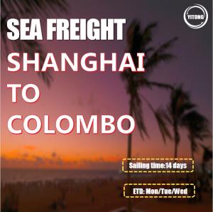 Quality Sea Freight From Shanghai China to Colombo Sri Lanka wholesale