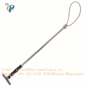 Quality Stainless Steel Pig Holder Dairy Machinery Appliance Pig Farm Hog Catcher 65cm Length wholesale