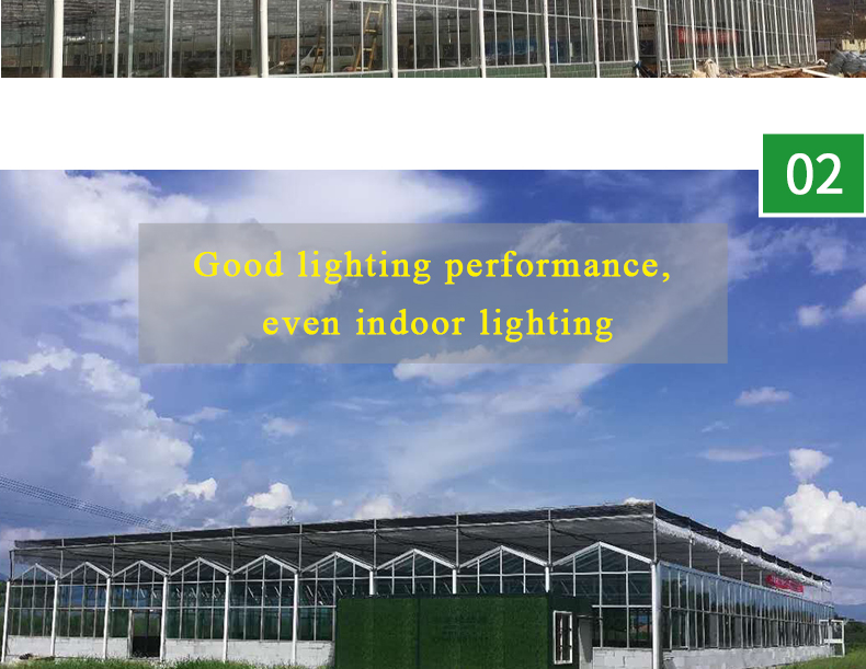 Large Glass Covered Garden Greenhouses for Versatile Planting Options