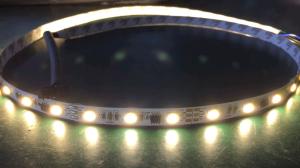 Quality DC12V addressable white digital led strip ws2811 wholesale