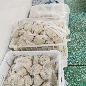 Quality Breathable 18-20mm Natural Sausage Casing High Transparency wholesale