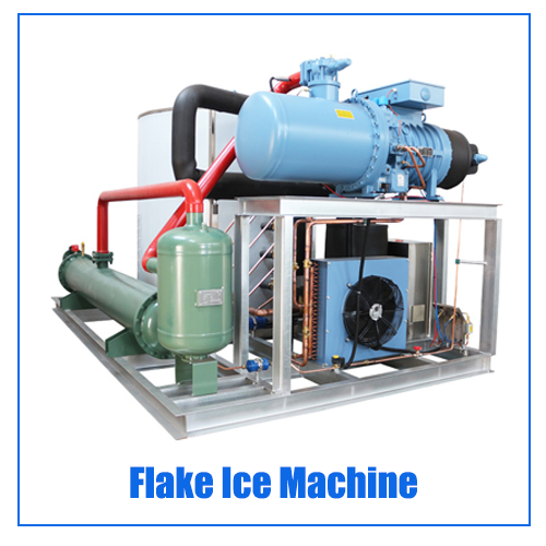 Commercial 1ton Ice Cube Maker Machine Equipped with Demark Danfoss Expansion Valve