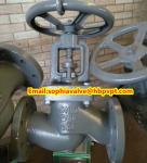 valve body GG25 PN16 cast iron globe valve