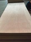 Marine Grade WBP Phenolic 4mm Okoume Plywood Lowes