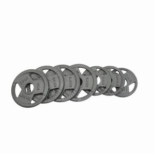 China Plating Coated 5kg Barbell Plates , Dia395mm Cast Iron Gym Plates on sale