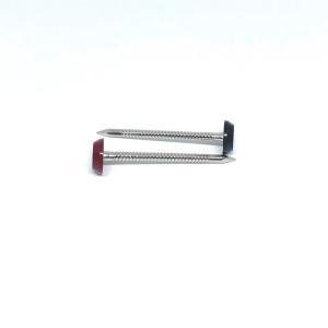 Quality Annular Ring Shank Plastic Head Nails For Roofing 3.0X50MM wholesale