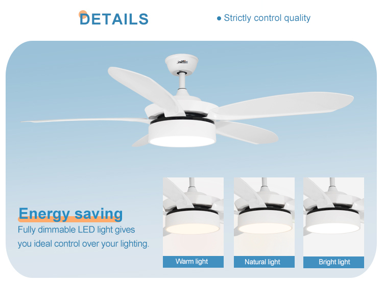 110-240V/50Hz-60Hz 5 ABS White Blades Ceiling Fan with LED Lights and Remote Control