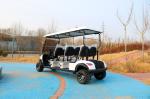 Luxury High-End 6 Seater Lithium Battery Off-Road Electric Golf Cart Supports