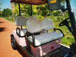 Pink Color 4 Seater Golf Cart Wheelbase 1630mm AC Motor 3.5 KW Ground Clearance