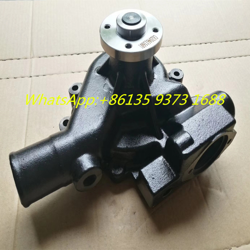 Cummins B3.3 Engine Parts Water Pump 5301482 6204611601 3800883 C6204611601