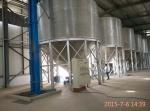 Great volume popular TCK series hopper bottom galvanized steel rice paddy