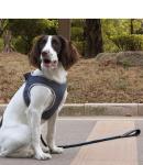 Fashionable Luxury Nice Quality Pet Vast Harness Fastness Walking Leashes For