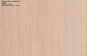 Quality Oak Reconstituted Wood Veneer wholesale