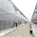 Clear Sawtooth Roof Multi Span Greenhouse Plastic Sheeting ISO9001 2008