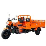 Orange 800W Motorized Tricycles for Heavy Duty Three Wheels Motorcycles from