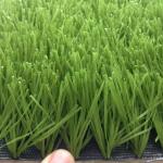 50mm Football Synthetic Grass / Field Playground Artificial Grass 12000dtex