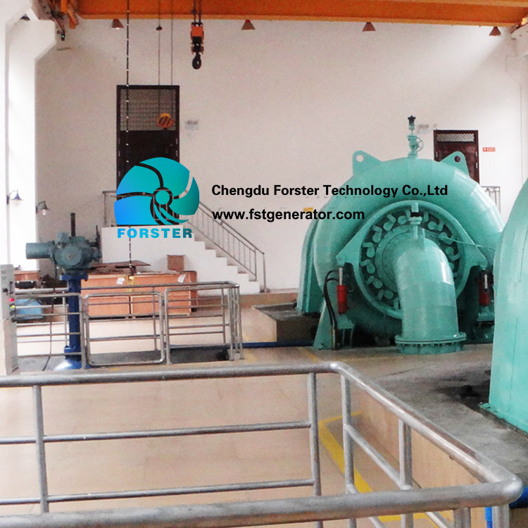 Compact Horizontal Hydro Turbine Synchronous 3 Phase Ac Brushless Excitation Type