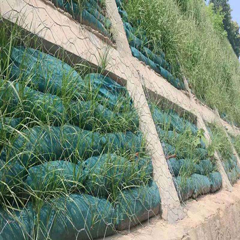 PP PET Non-Woven Fabric Geobag for Slope Protection and Greening Barren Mountain Mines