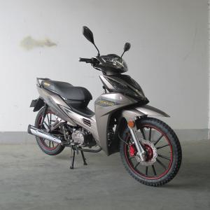 Quality 6.5KW Front Disc Brake TR135-NG Cub Motorcycle wholesale