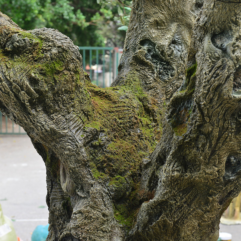 Factory Priced Large Artificial Olive Tree Huge Ornamental Fiberglass Tree for Indoor Restaurants and Shopping Malls Decor
