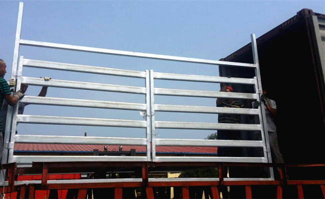 Wire Mesh Cattle Sheep Trellis Fence Panels