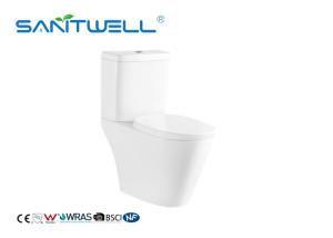 Quality Washdown Fashionable 2 Piece Toilet Structure S Trap With Soft Surface wholesale
