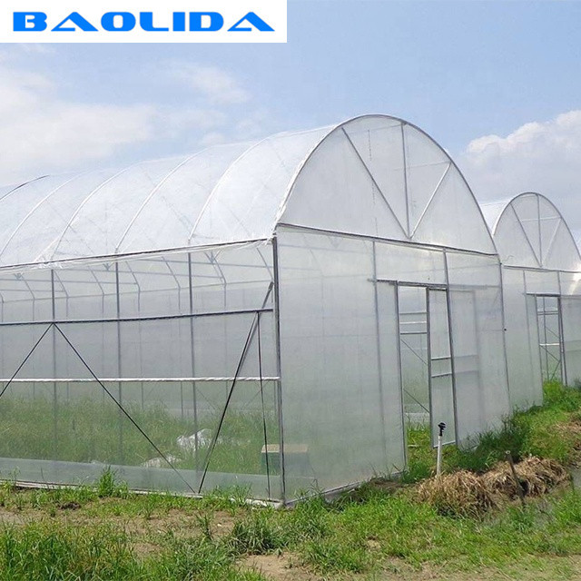 Big Size Plastic Poly Tech Greenhouse / Agricultural Single Span Greenhouse