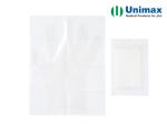 PE EVA Disposable Clear Plastic Gloves