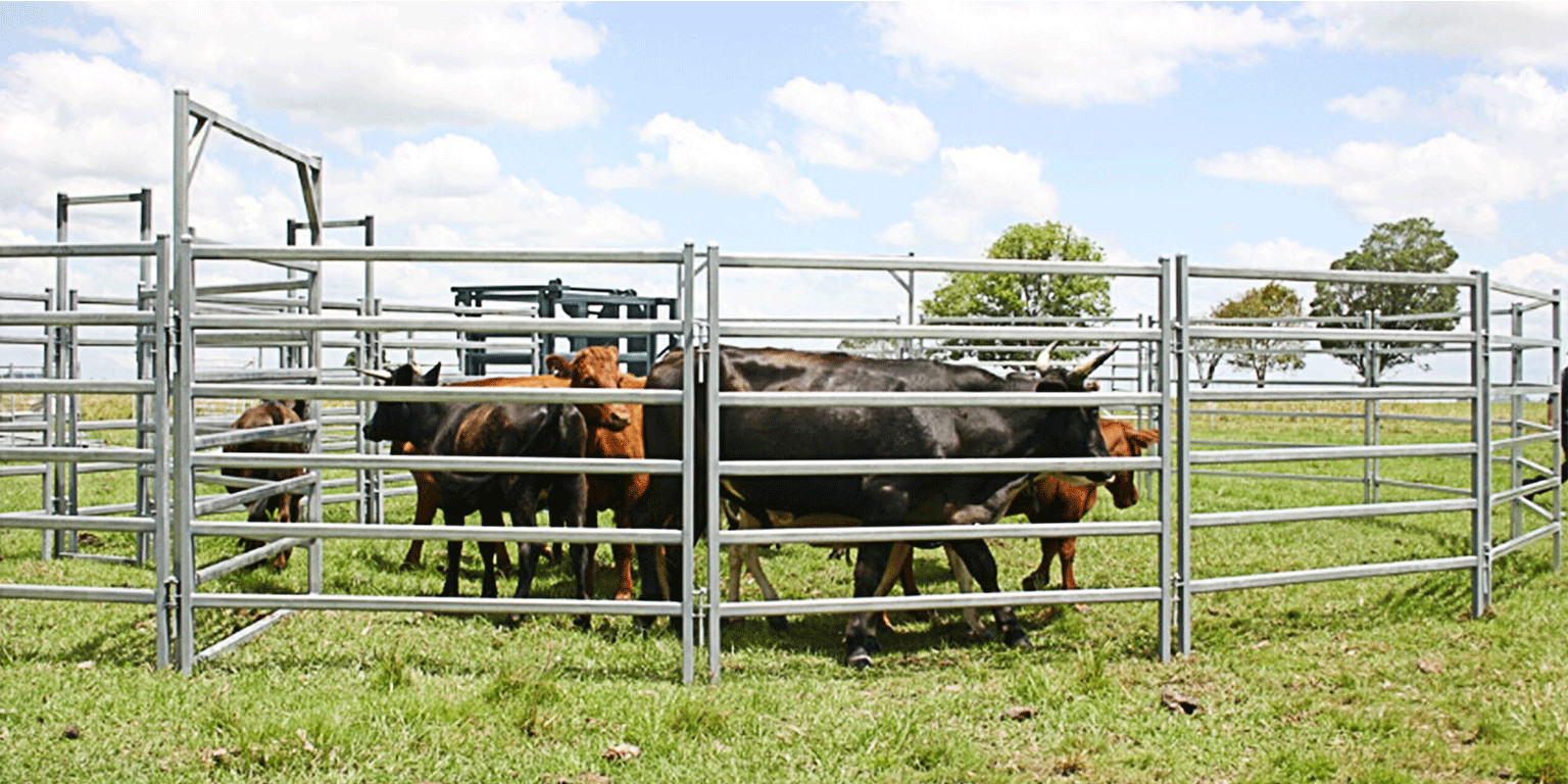 Round Corral Panels Yard Panels 6 Oval Rails. Locking Pins. ". Victoria "