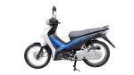 Chain Cover CDI CUB Motorcycle 110cc Moped Dual Sport Dirt Bike
