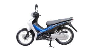 Quality Chain Cover CDI CUB Motorcycle 110cc Moped Dual Sport Dirt Bike wholesale