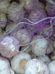 China fresh garlic export to Brazil by Pioneer Garlic Group
