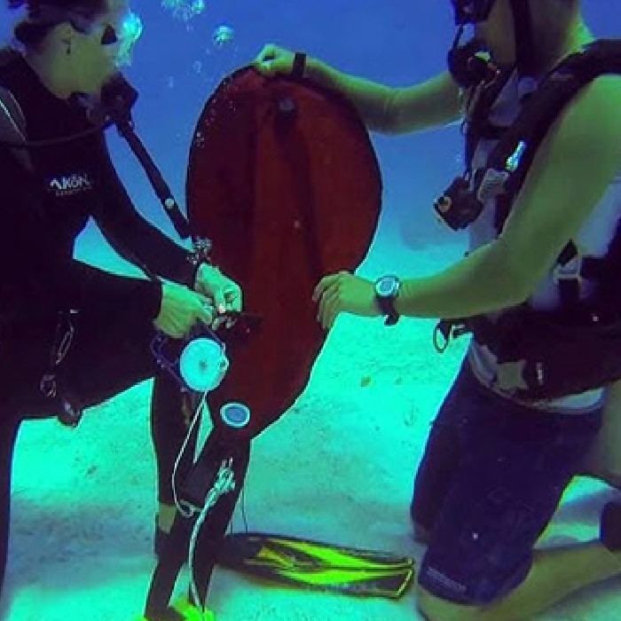 50t Commerical Inflatable Marine Salvage Lifting Bags Underwater Air Lift Bags