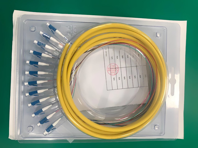 SC UPC 12 Cores G652D G657A1 Patch Cord Pigtail