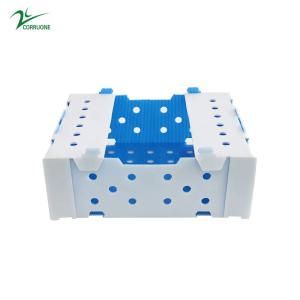 Quality Cartonplast Twinwall Corrugated Plastic Produce Boxes Stackable wholesale