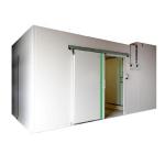 Commercial Meat Walk In Freezer Cold Storage Room