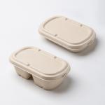 Leak Proof Sugarcane Fiber Pulp Disposable Food Container Biodegradable