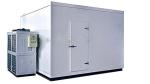 USA Food Storage Walk in Freezer for Frozen Meat and Sea Food in Packaged