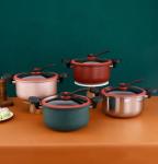 professional Kitchen Pressure Cooker Home Stew Low Pressure Non Stick