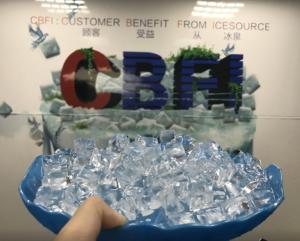Quality R404a Refrigerant Commercial Ice Cube Maker Machine For Philippine wholesale