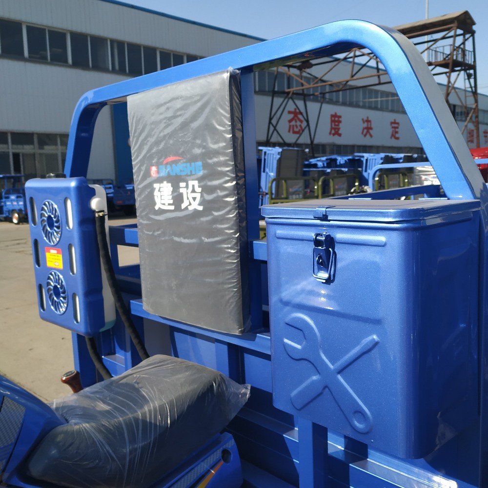 China 300cc BestSale HeavyLoadingDeliveryCargoPetrolTypeThreeWheelMotorbikeBenzinTruckTrailersCargoTricycleMotorcycle