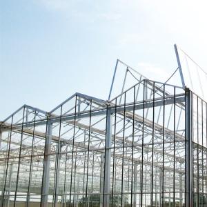 Quality Galvanized Steel Frame Multi Span Venlo Glass Greenhouse Large Automatic wholesale