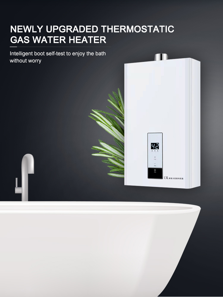 Natural LP Gas Tankless Water Heater Hot Water Boiler 16000W 10L-16L