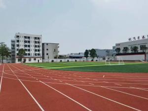 Quality EPDM Sports Floor Coating / Paint Slipproof Synthetic Silicone PU IAAF wholesale