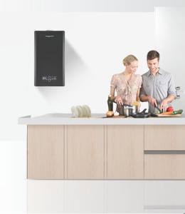 Quality Energy Efficiency Wall Hang Gas Boiler With Balanced Flue wholesale