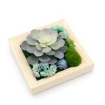 Wooden frame for holding photo picture plant